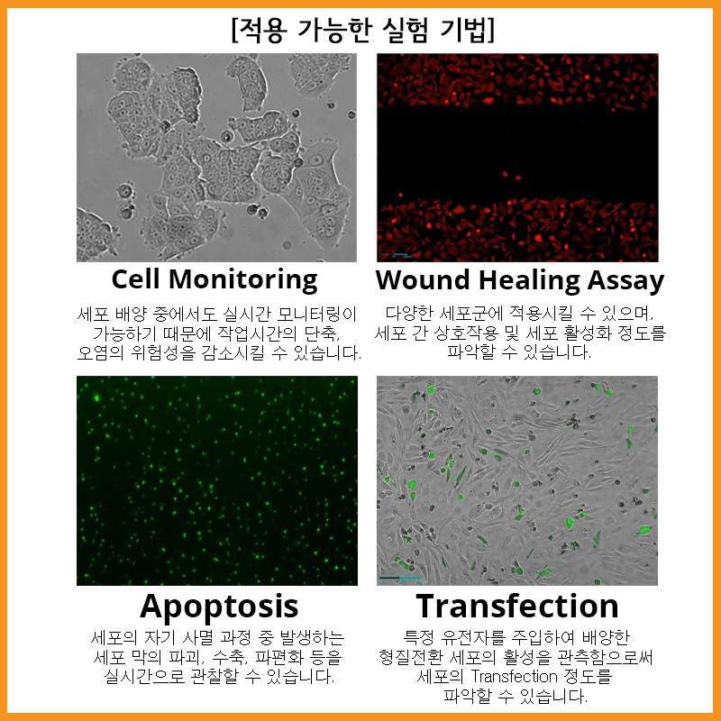 상품설명이미지