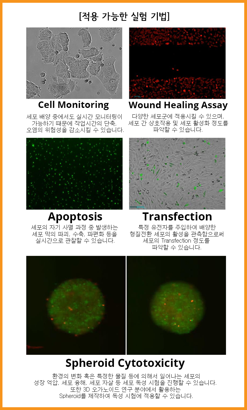 상품설명이미지